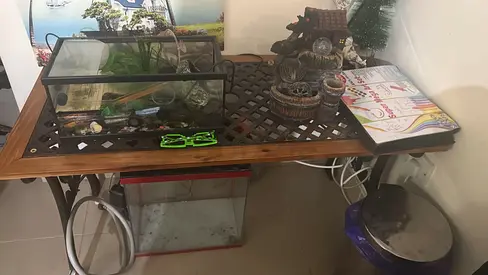 Glass aquarium tanks with accessories – small and medium, used