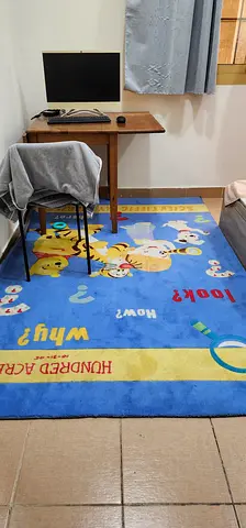 Master room and kids room carpet