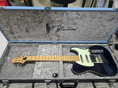 Samick by Greg Benett telecaster guitar