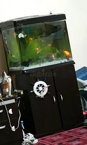 Fish Tank - Aquarium - with Shoe Rack cupboard