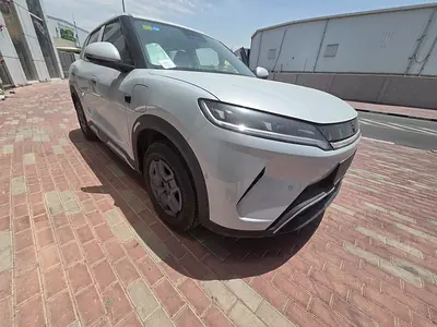 BYD Yuan Up Smart Driving Edition 2025 - Brand New - Chinese Specs