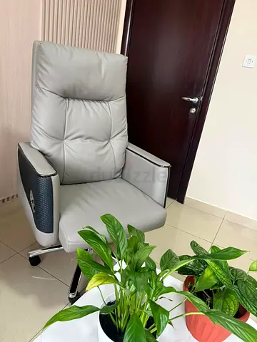 Urgently Selling Unused Boss Chair