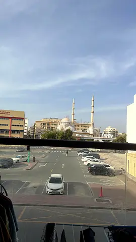 Brand new studio bed space available