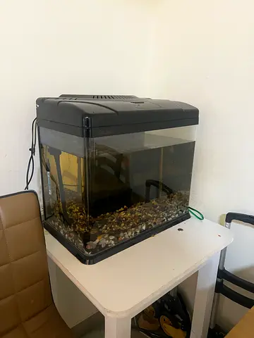 Fish aquarium for sale