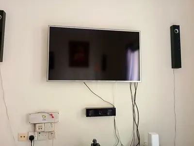 42-50 inch Wall-Mounted Flat Panel TV with Wall Speakers