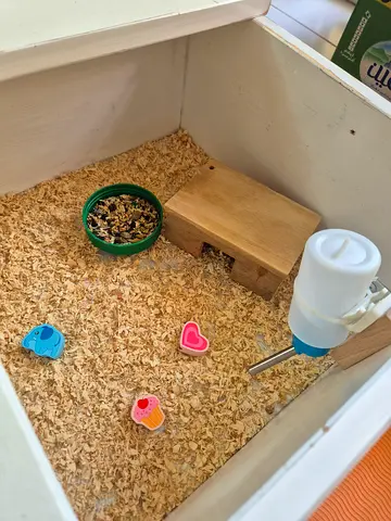 Hamster wood house with accessories - gently used