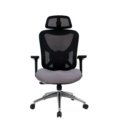 Ergonomic Office Chair with Headrest and Lumbar Support-2279