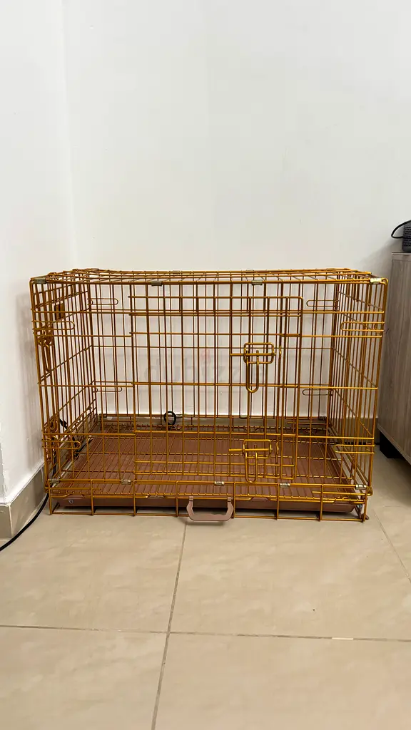 gallery-image