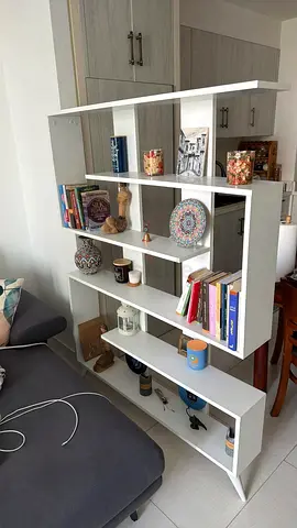 Shelves Book