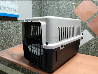 Cats and dogs carriers for air travel