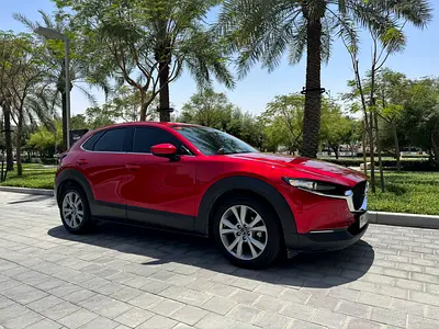 Great value for money!