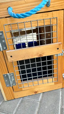 Wooden Pet Carrier Kennel with Metal Grille - Good Condition