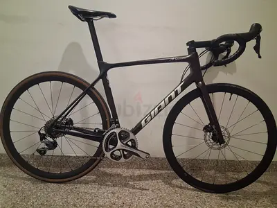 Giant tcr pro1