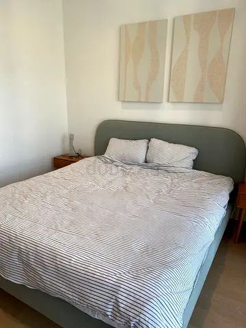 Ikea bed (Including mattress 215x192)