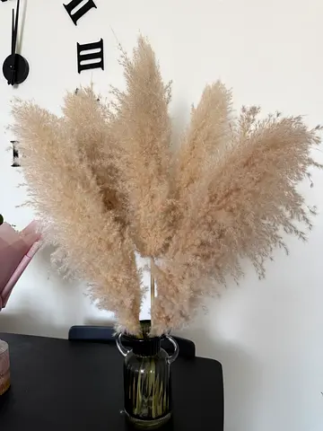 5 Dried Pampas Grass Bouquet in Tinted Glass Vase - Neutral Decorative Piece