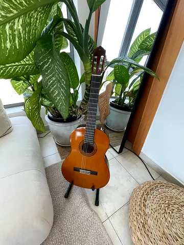 Acoustic Guitar Yamaha