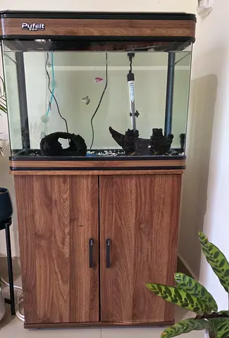 Medium Size Fish Tank with accessories sale.