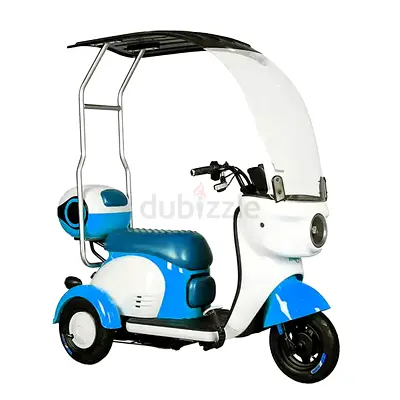 48 v electric Scooter with Rooftop