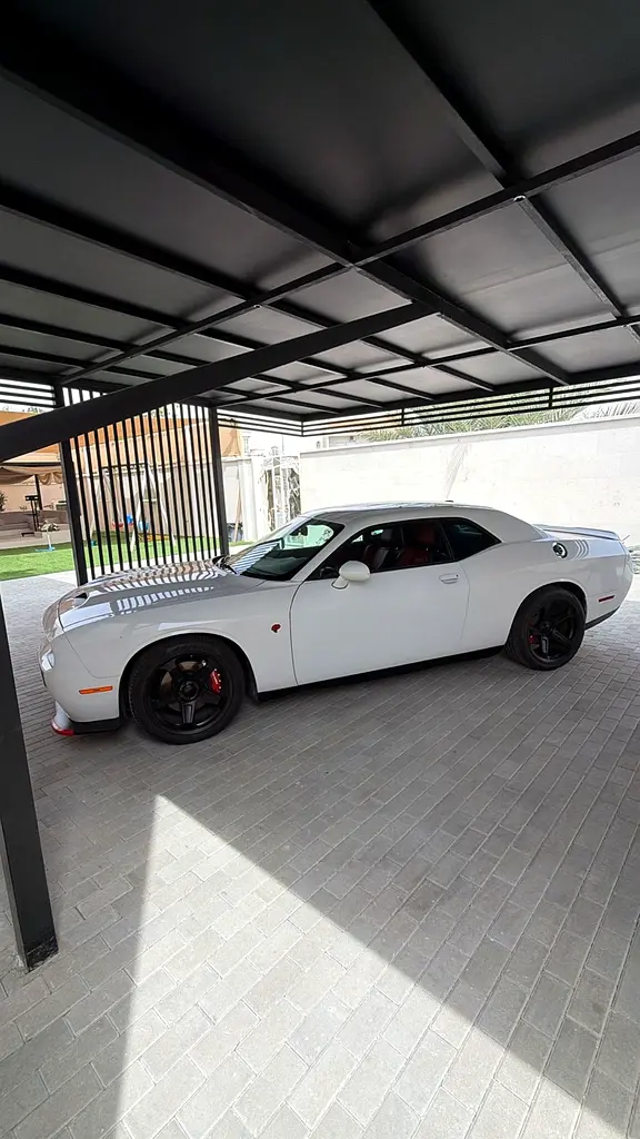 Dodge Challenger 2019 — photo 1 of 10