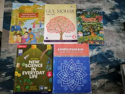 TEXTBOOKS SET FOR GRADE 6 CBSE (BRAND NEW)