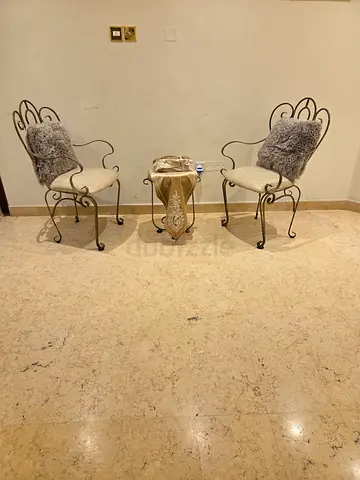 Set of 2 Decorative Metal Accent Chairs with Cushions