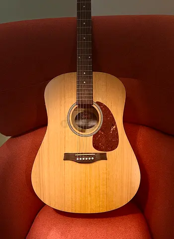 Acoustic guitar made in Canada “Seagull” from GODIN