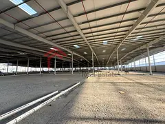 Brand New Huge Warehouse | 313,917 Sq Ft | Prime Sajja Location