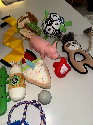 Assorted dog toys bundle - plush, rope, squeaky and chew toys - hardly used at all, some unused