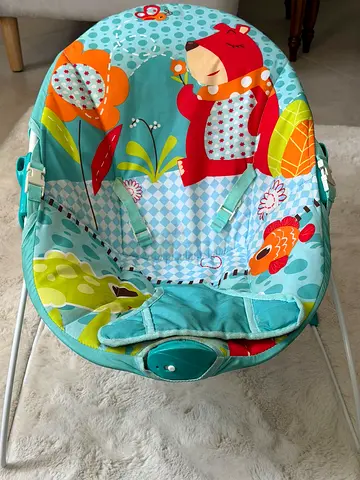 Baby Bouncer