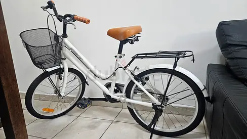 Bicycle with Basket and Rear Rack