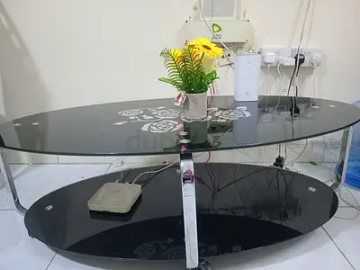 Black Oval Glass Coffee Table with Lower Shelf
