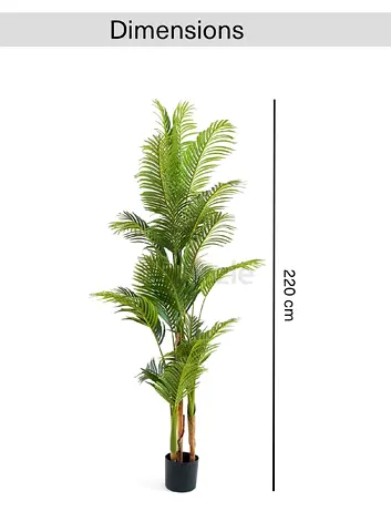 Tall Artificial chrysalidocarpus Tree with Pot - 220cm