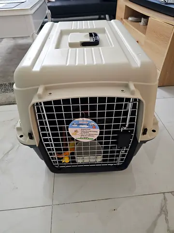 Medium plastic pet carrier / travel crate - good condition