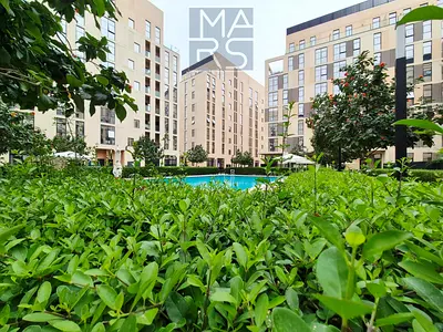 Luxury 1BR Apartment in Al Mamsha | 2 Bathrooms | Freehold | AED 650K