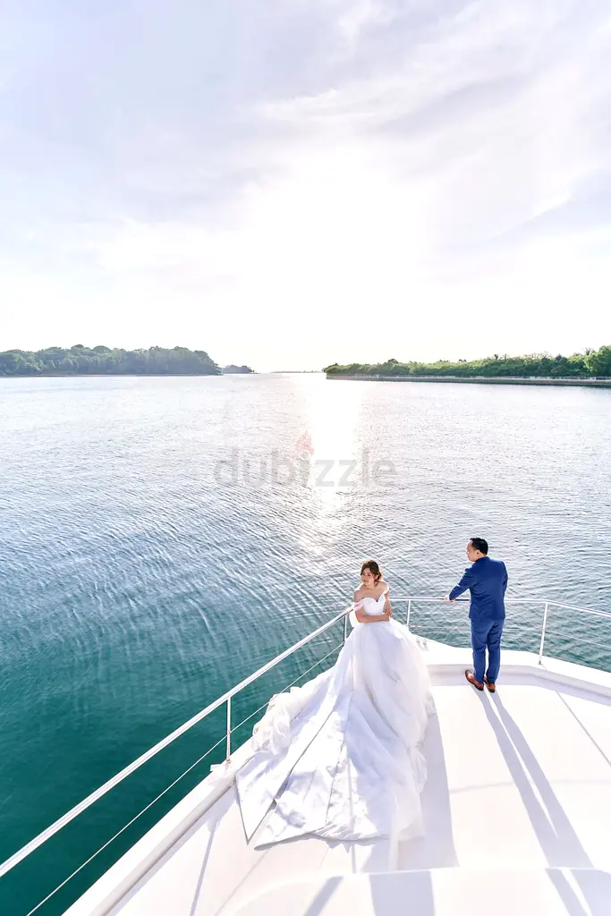 DPV_View_Image_2