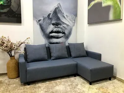 IKEA BRISSUND 3-seater Sofa bed with Chaise Lounge