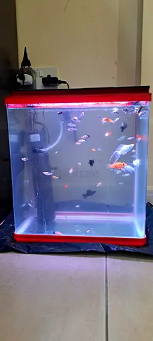 Fish Tank For sale