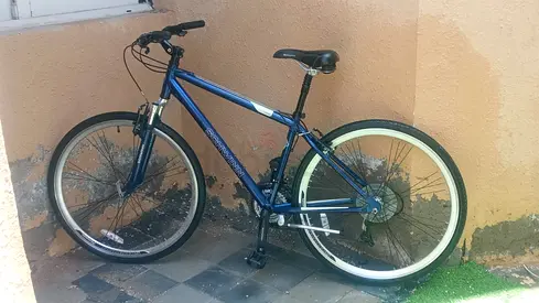 Schwin Fram large tire 29