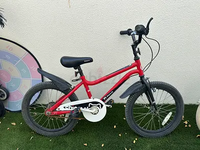 Chipmunk bicycle for kids