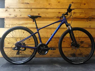Giant Roam 4 Mountain Bike