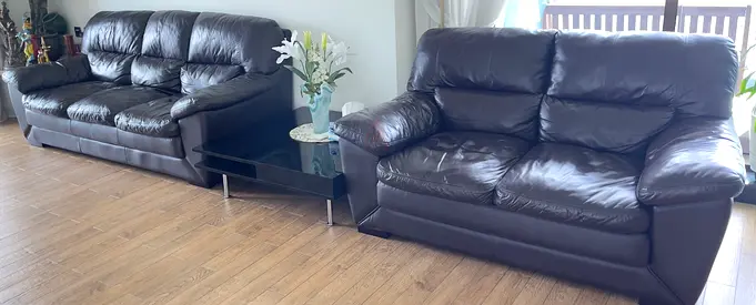 sofa set with centre table