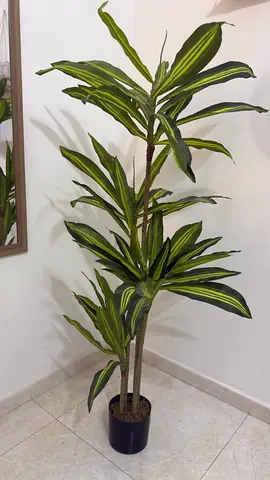 Tall artificial dracaena plant  — excellent condition with separate plant pot from Home Center