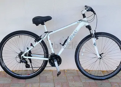 Louis Garneau Mountain/City Bike -  size 29 Good Condition, Ready to Ride