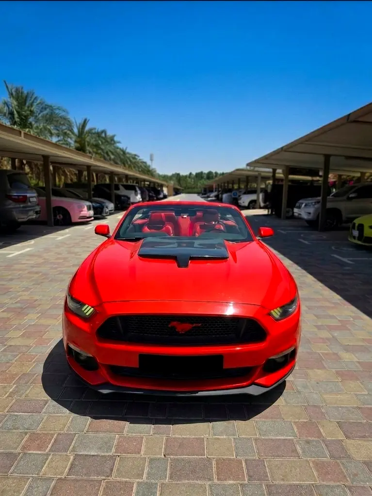 Ford Mustang 2016 — photo 1 of 5