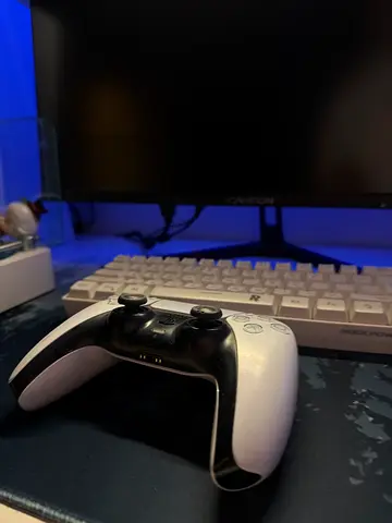 PS5 Controller