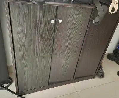 Shoe cabinet and wall hangers