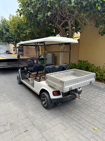 Used Golf cart (no batteries and no key)