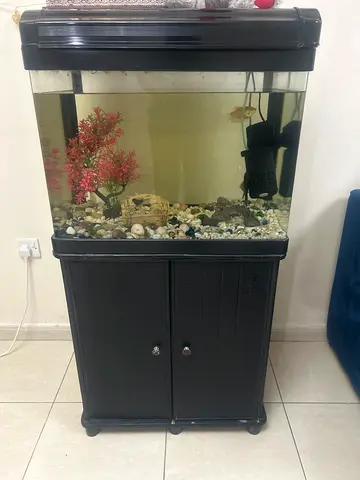 Used 40-50L Glass Aquarium with Cabinet and Filter (Ready to Use)