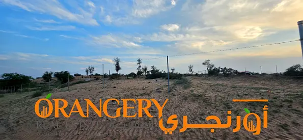 مزرعة للبيع في أم القيوين – الراشيدية >>جوزات ا القيوين فقط<<