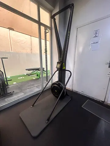 CONCEPT2 SkiErg with PM5 Full Body Cardio Machine